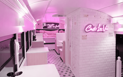 Roshan's Pretty in Pink Skoolie For Sale Turnkey & Delivered!