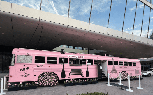 Roshan's Pretty in Pink Skoolie For Sale Turnkey & Delivered!