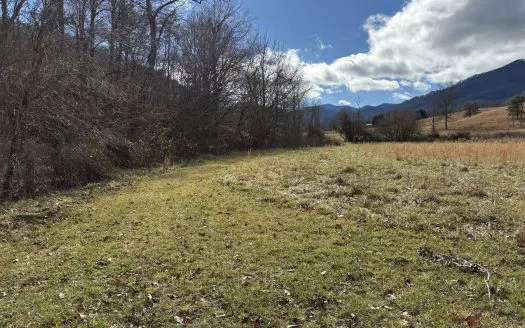 Turkey Creek Oasis Tiny Home Community