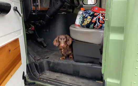 Michaela's "Greenie" Off-Grid Ready Ford Econoline Skoolie, Make an Offer!