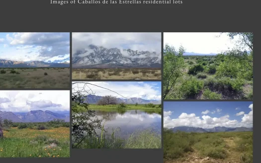 Caballos de las Estrellas Eco Community