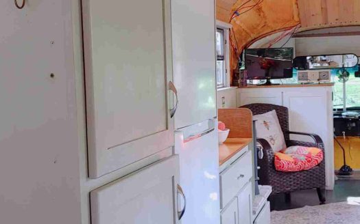 SOLD: Robin's Blue Bird 3800 65 Passenger Skoolie